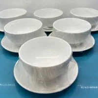 ظروف چینی