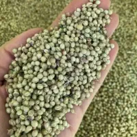 خریدار گشنیز