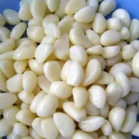 سیر شمال پاک کرده و خورد شده آماده
