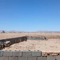 بره گمشده