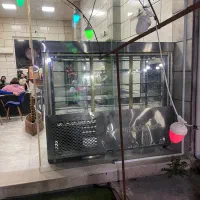 یخچال ویترینی