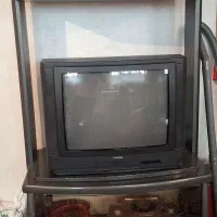 تلویزیون