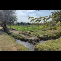 1000-متر-زمین-رباط-پایین