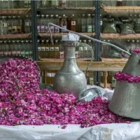 تورهایی تفریحی و زیارتی ماه بانو