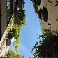 بلوار شاهد ویو دار مشاعات فول تراس رایگان