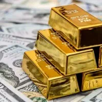 ضامن نیازمندم رتبه های abc