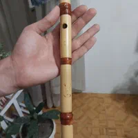 نی محرم