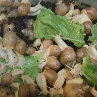 فروش حلزون کوچک و بزرگ 15تومان