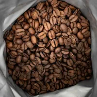 فروش دان قهوه