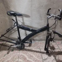 تنه دوچرخه