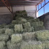 پرس یونجه انباری