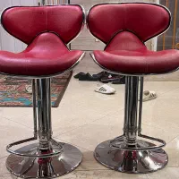 دوعدد صندلی با قابلیت تنظیم