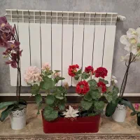 گل مصنوعی