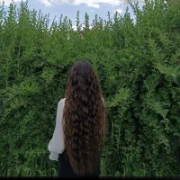 موی بلند