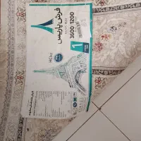 فرش ۹متری ماشینی طوسی فیلی