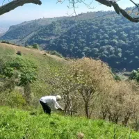 ۲۷۰۰ متر لوکیشن جذاب و آینده دار