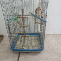 قفس پرنده