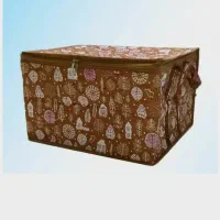 باکس لباس اسکلت دار