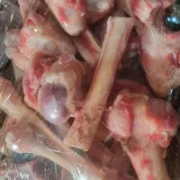 فروش سرقلم گوسفند عصاره قلم گوسفند