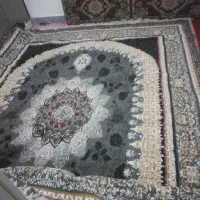قالی ۱۲