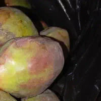 مهره پاکستانی