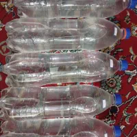 عرقیجات محلی تازه