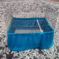 قفس سهره وعروس هلندی