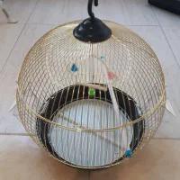 قفس چینی،کاملا نو و استفاده نشده