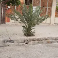 اجاره مغازه