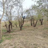 فروش چاه کشاورزی