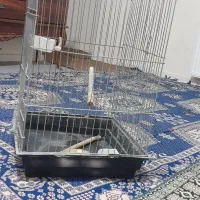 قفس پرنده‌