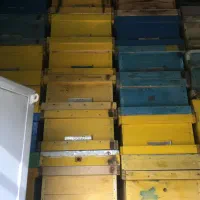 فروش کندو و طبق زنبور ده قاب استاندارد