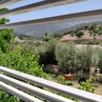 ویلا باغ مخصوص طبیعت دوستان لب رودخانه