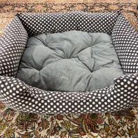 جای خواب گربه و سگ