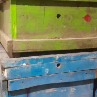 کندو|لوازم جانبی حیوانات|بروجرد, |دیوار
