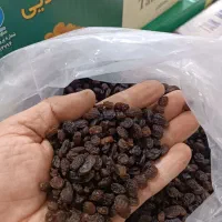 کشمش|خوردنی و آشامیدنی|تهران, فرودگاه مهرآباد|دیوار