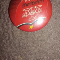 دو سنجاق سینه مدل پرسپولیس