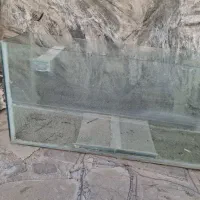 اکواریوم