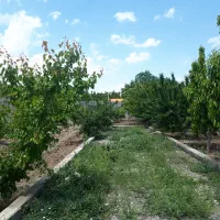 فروش باغ سند دار فرخ‌آباد زیبادشت