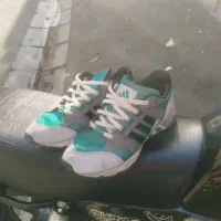 کتونی اورجینال اکومنت