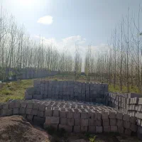 فروش-زمین-در-شفت