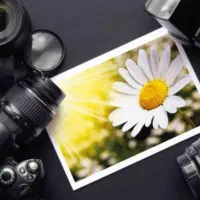 استخدام مدلینگ خانم