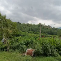 ۲۲۰ متر زمین مسکونی در منطقه کوهستانی