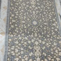 قایچه