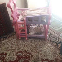 تخت خواب و عروسک