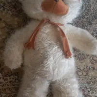 خرس بزرگ خارجی