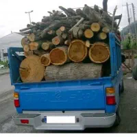 خریدار چوب باغی