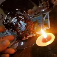 فال آیینه بینی تاس قهوه