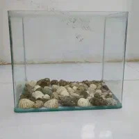 آکواریوم