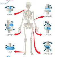 آموزش ماساژ و حرکات اصلاحی|خدمات آموزشی|شیراز, ارم|دیوار
